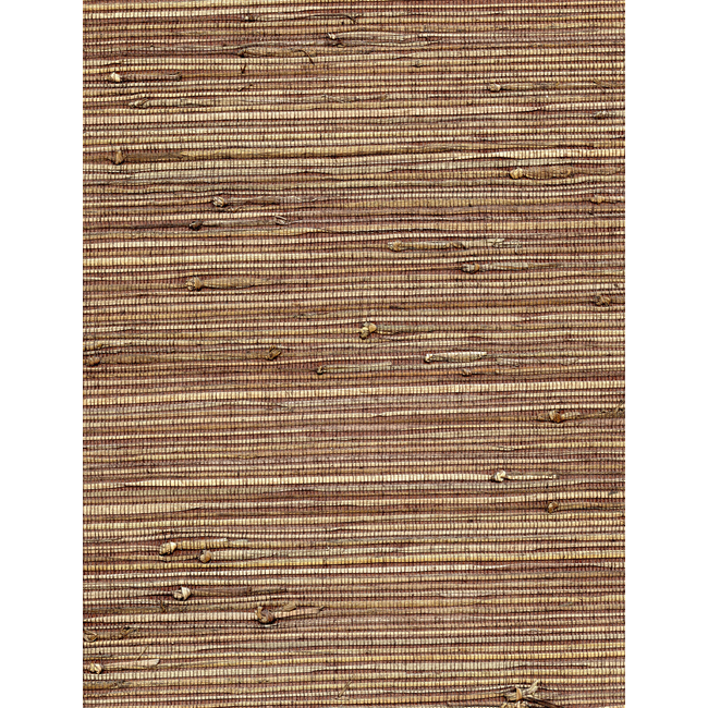 WINFIELD THYBONY CONCERTO - STONEWASHED WNW2264.WT.0