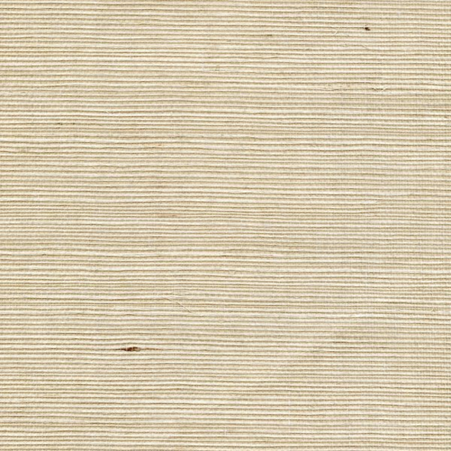 WINFIELD THYBONY DISTINCTIVE SISALS - CANVAS WDW2410.WT.0