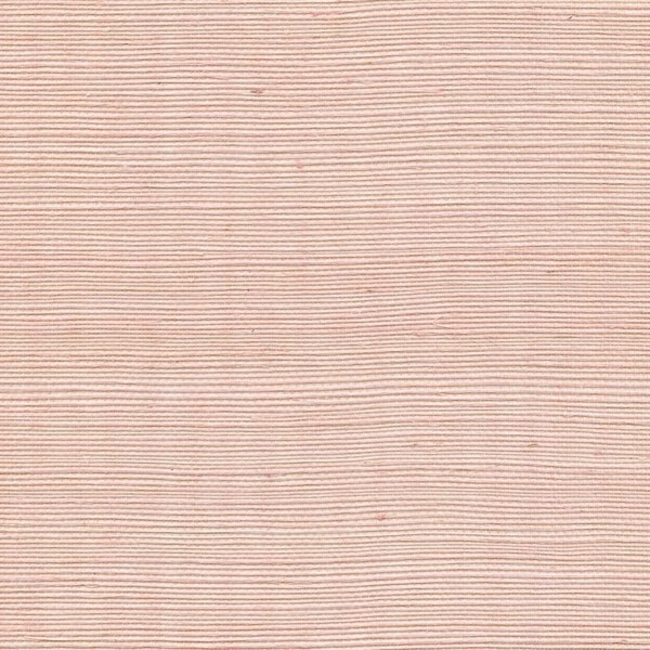 WINFIELD THYBONY DISTINCTIVE SISALS - PEACH TREEP WDW2409P.WT.0