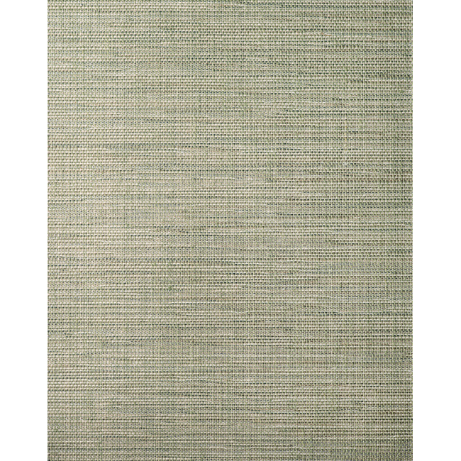 WINFIELD THYBONY KIMIT - SAGE WFT1606.WT.0