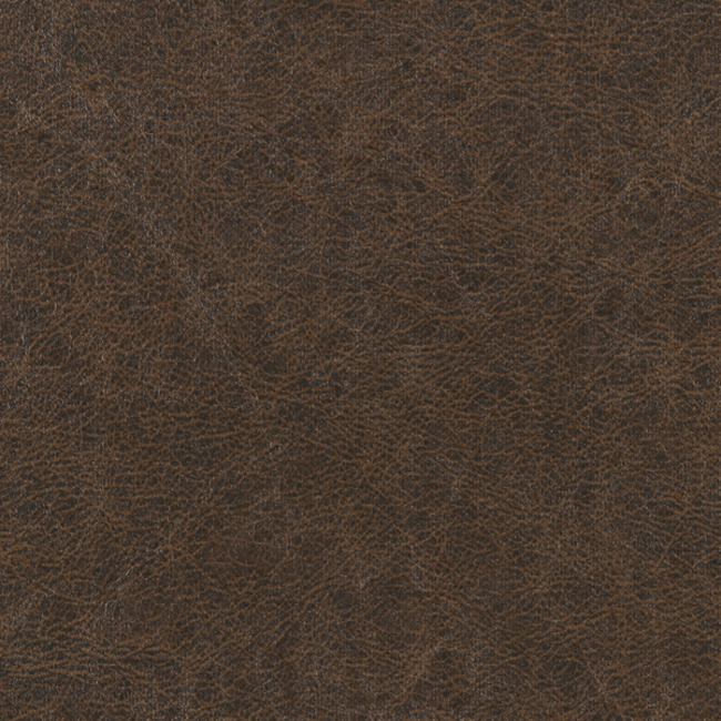 WINFIELD THYBONY PERFORMACE VINYL 17 ENDURING - CHESTNUT WPW1133.WT.0