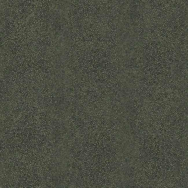 WINFIELD THYBONY RAY - NIGHT SEA WTP4011.WT.0