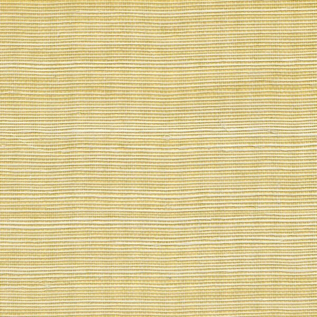 WINFIELD THYBONY SIMPLY SISAL METALLIC SISAL - GLISTENING ORE WSS4520.WT.0