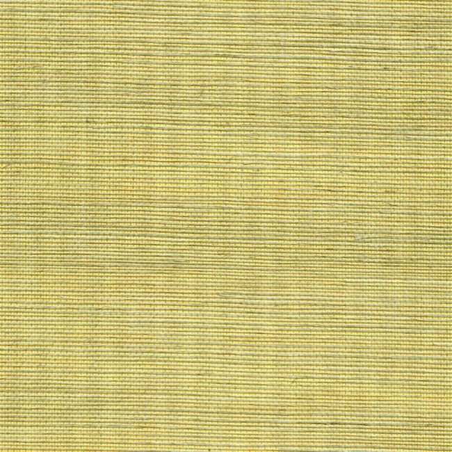 WINFIELD THYBONY SIMPLY SISAL METALLIC SISAL - LEMON GRASS WSS4528.WT.0