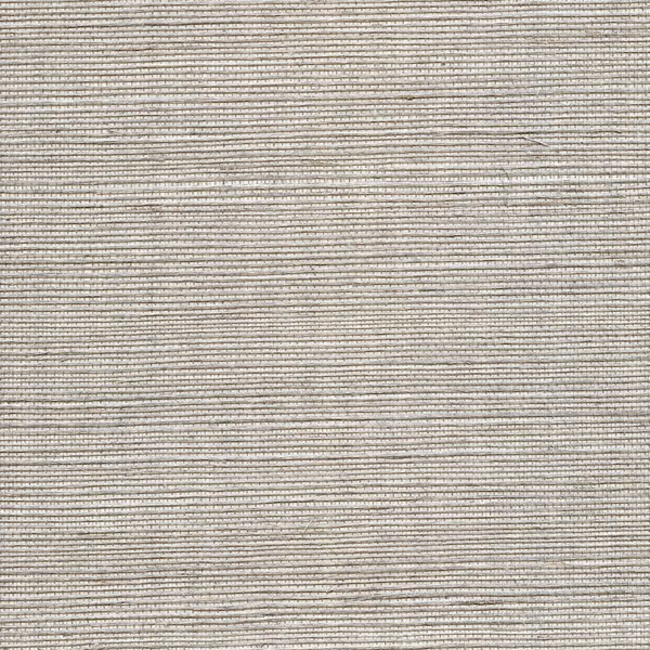 WINFIELD THYBONY SIMPLY SISAL METALLIC SISAL - THUNDER WSS4574.WT.0