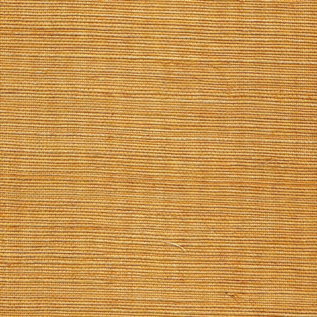 WINFIELD THYBONY SIMPLY SISAL METALLIC SISAL - TUSCAN SUN WSS4537.WT.0