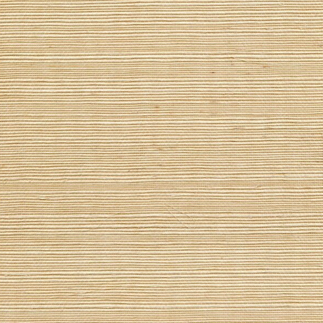 WINFIELD THYBONY SIMPLY SISAL SISAL - BARLEY WSS4507.WT.0