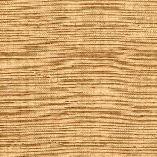 WINFIELD THYBONY SIMPLY SISAL SISAL - BUTTERSCOTCH WSS4544.WT.0