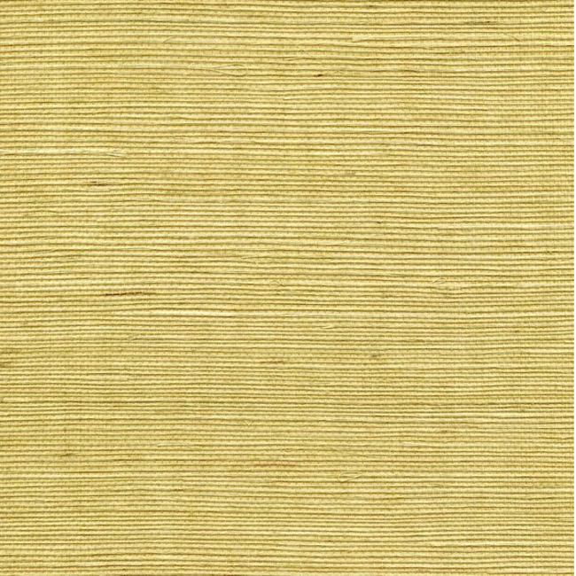 WINFIELD THYBONY SIMPLY SISAL SISAL - CITRINE WSS4527.WT.0