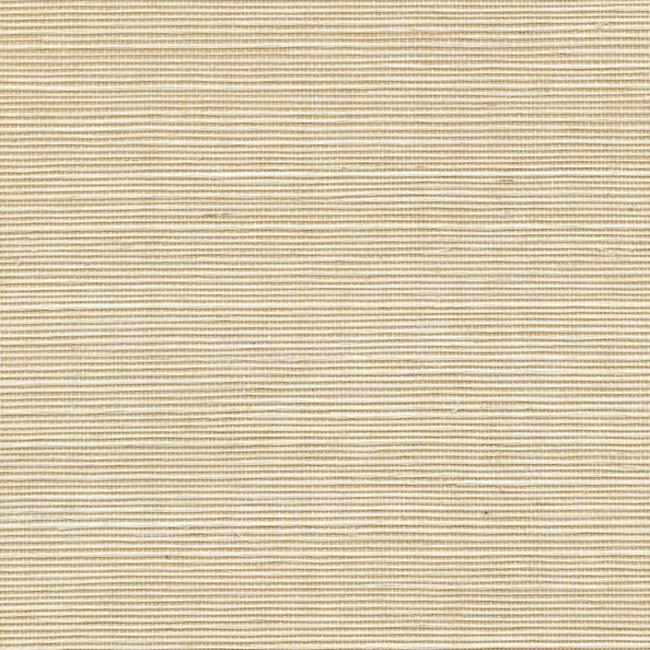 WINFIELD THYBONY SIMPLY SISAL SISAL - CREAM WSS4504.WT.0