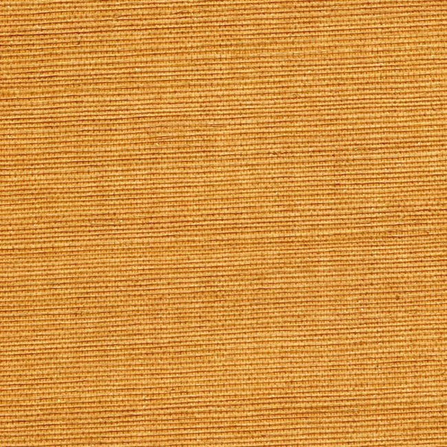 WINFIELD THYBONY SIMPLY SISAL SISAL - HONEY WSS4542.WT.0
