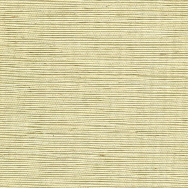 WINFIELD THYBONY SIMPLY SISAL SISAL - LIMEAID WSS4525.WT.0
