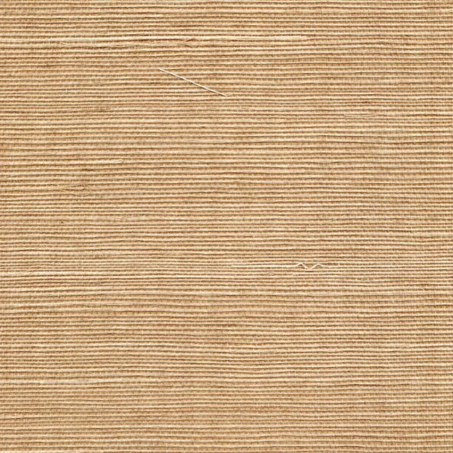 WINFIELD THYBONY SIMPLY SISAL SISAL - MOCHA WSS4515.WT.0