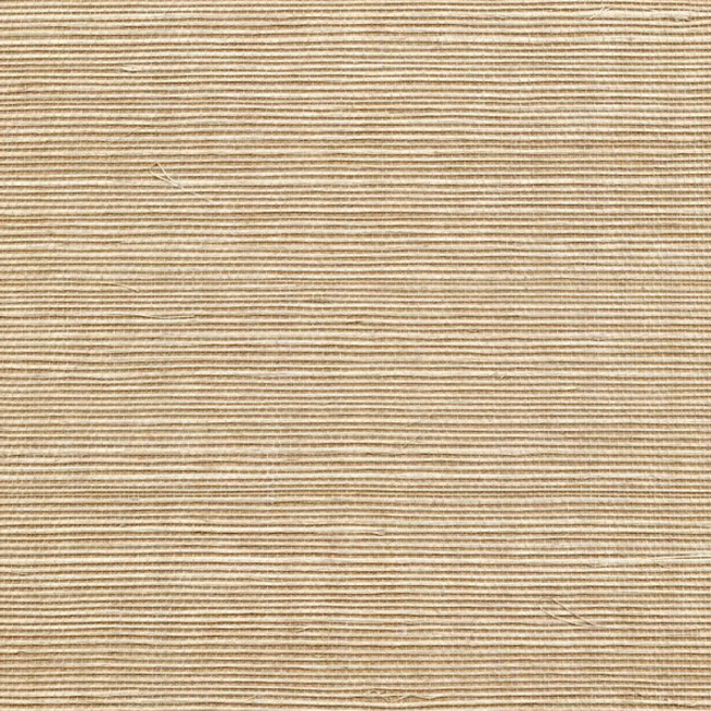 WINFIELD THYBONY SIMPLY SISAL SISAL - MOSS WSS4557.WT.0