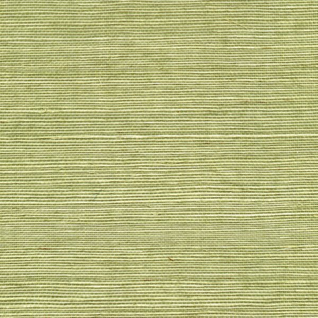 WINFIELD THYBONY SIMPLY SISAL SISAL - PEA POD WSS4530.WT.0