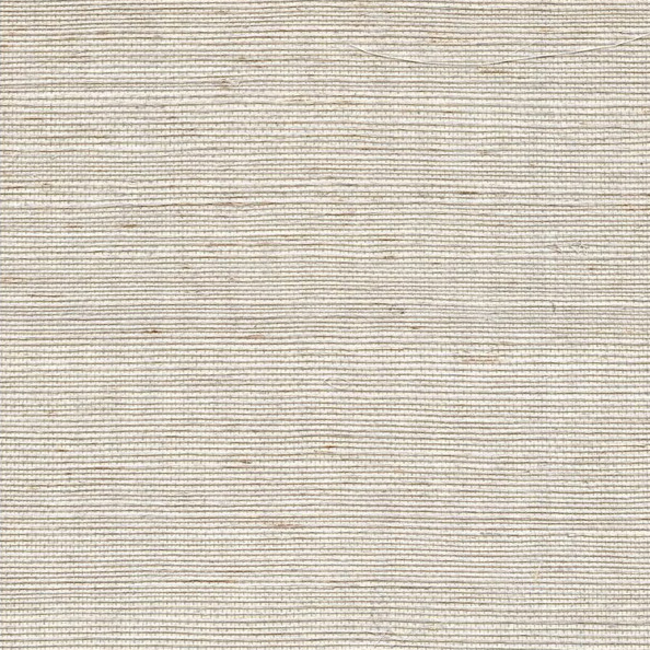 WINFIELD THYBONY SIMPLY SISAL SISAL - PEARL WSS4572.WT.0