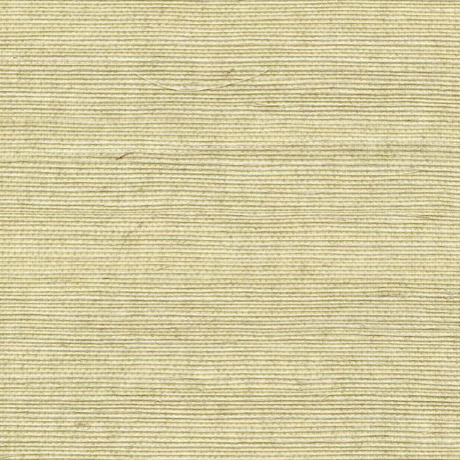 WINFIELD THYBONY SIMPLY SISAL SISAL - PUMICE WSS4508.WT.0