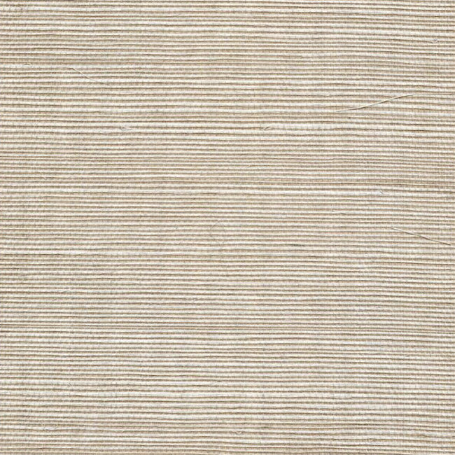 WINFIELD THYBONY SIMPLY SISAL SISAL - SHELL WSS4573.WT.0