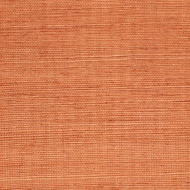 WINFIELD THYBONY SIMPLY SISAL SISAL - SPICE WSS4539.WT.0