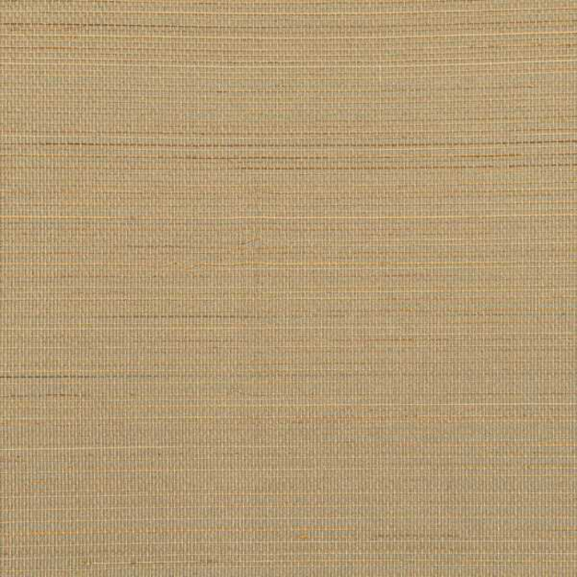 WINFIELD THYBONY TAHITI WEAVE - GOLDENROOT WDW2381.WT.0