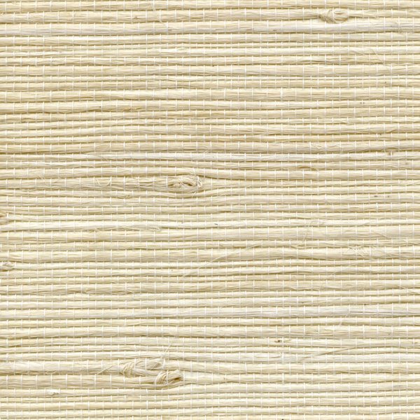 WINFIELD THYBONY NATURAL RESOUCES VOL 1 PETITE BENGALI WALLPAPER