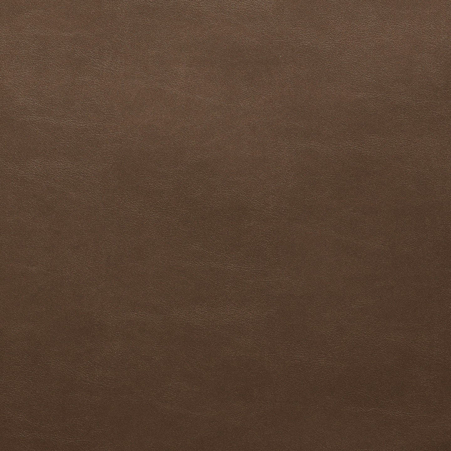 Square xlrg hawthorne wha 006 cortado.jpg