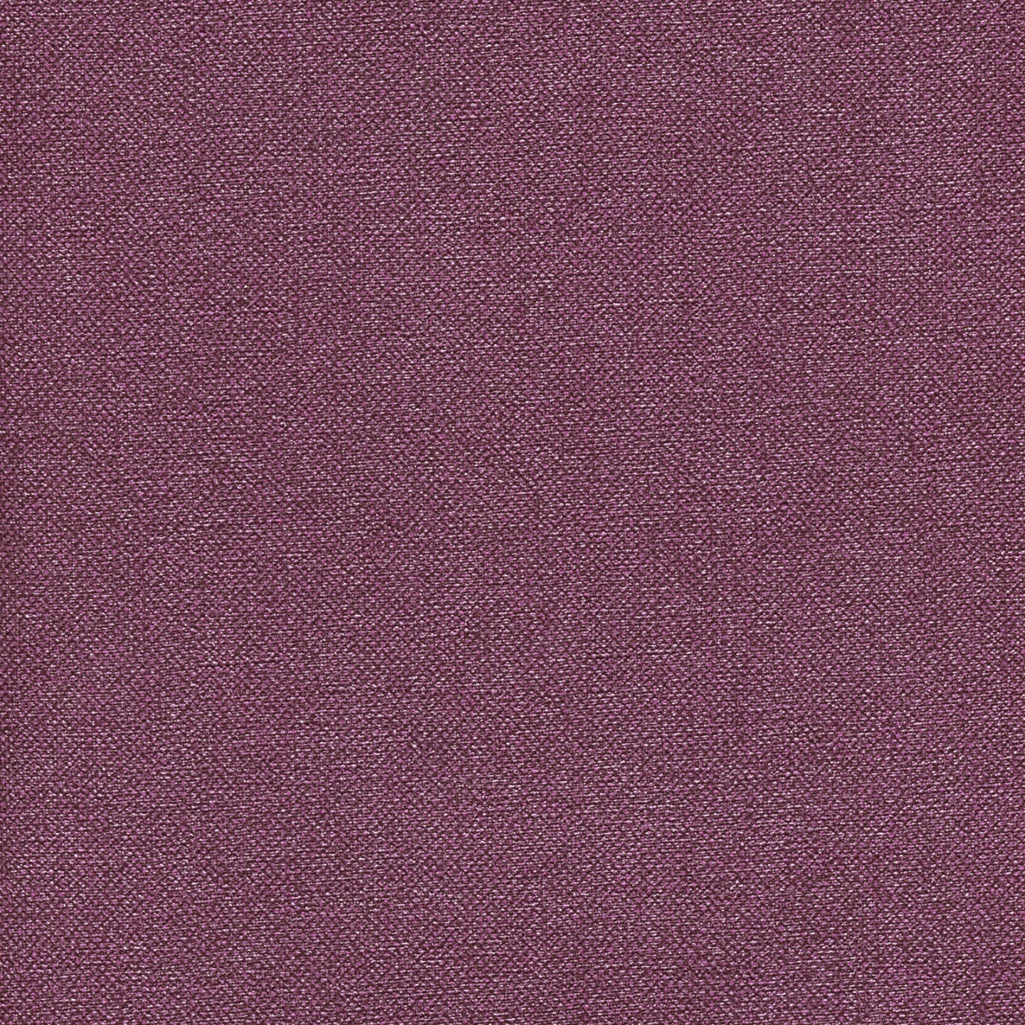 Square xlrg kil 2956 vineyard.jpg