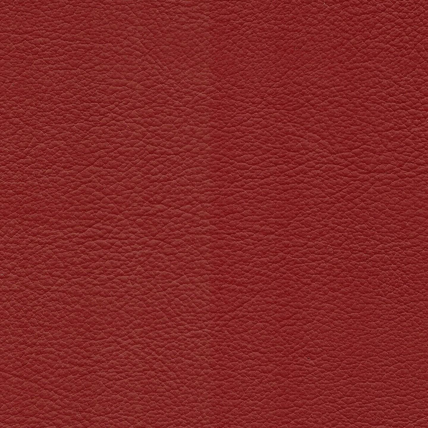 Square xlrg meridian chili.jpg
