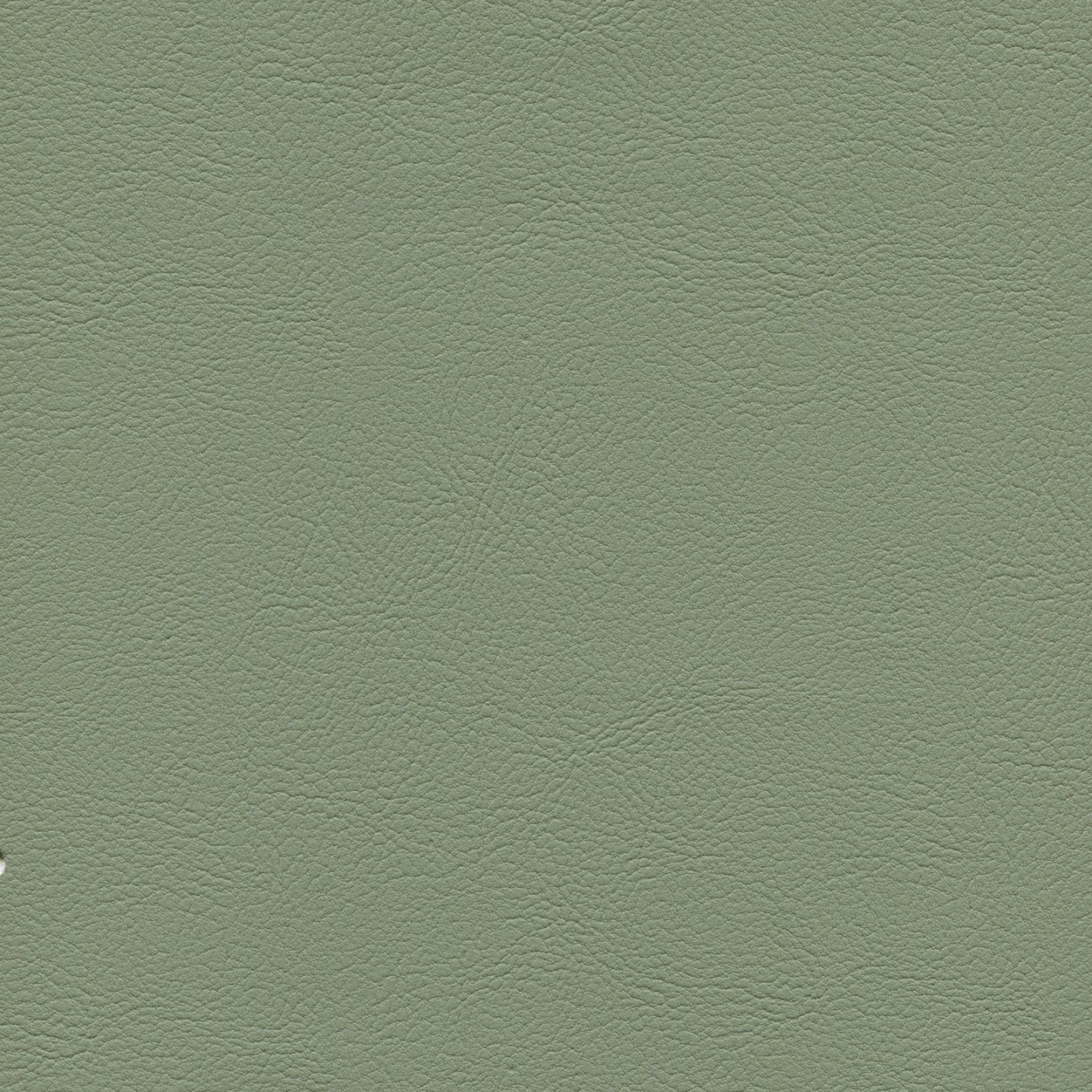 Square xlrg mod 2008 seagrass.jpg