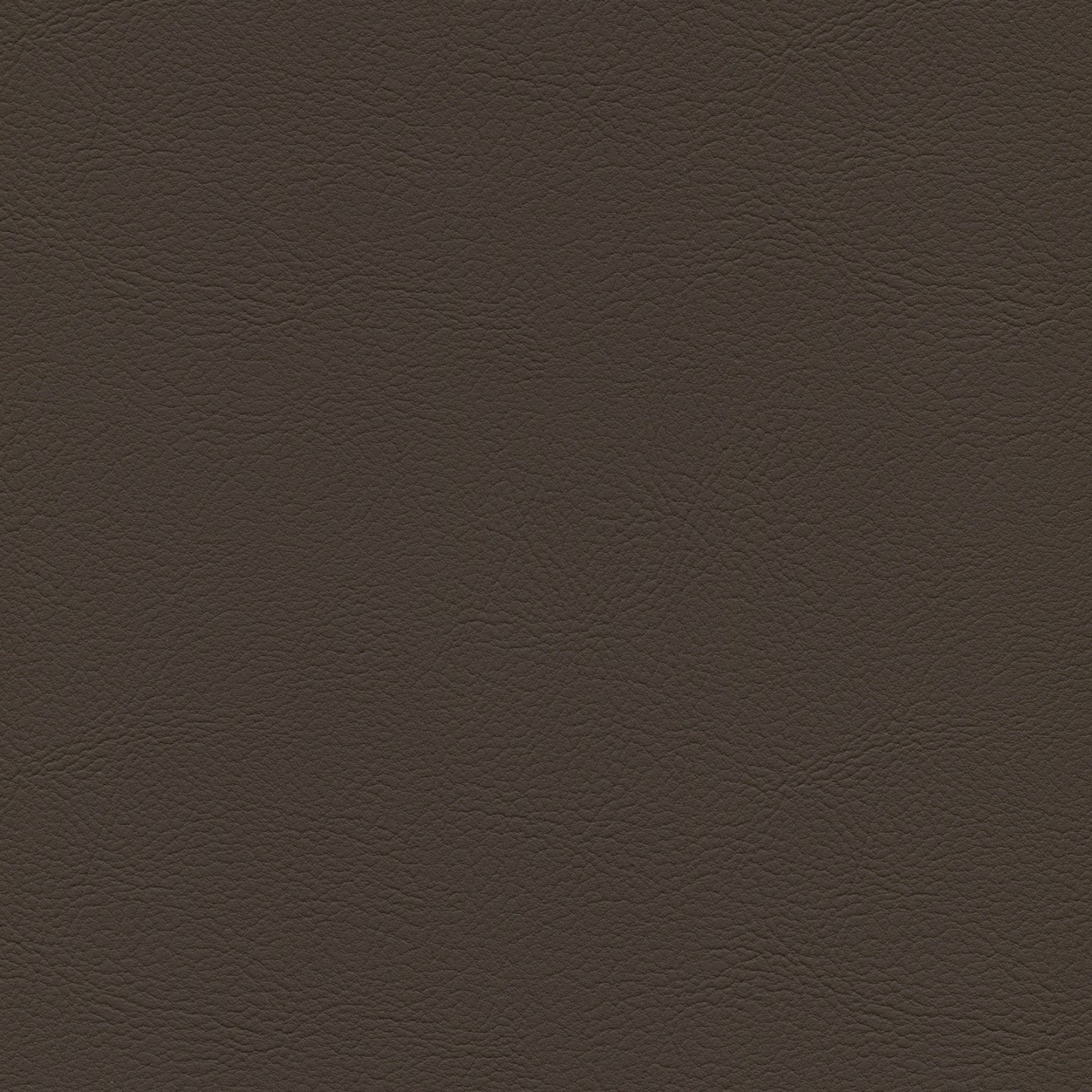 Square xlrg mod 2017 twilight.jpg