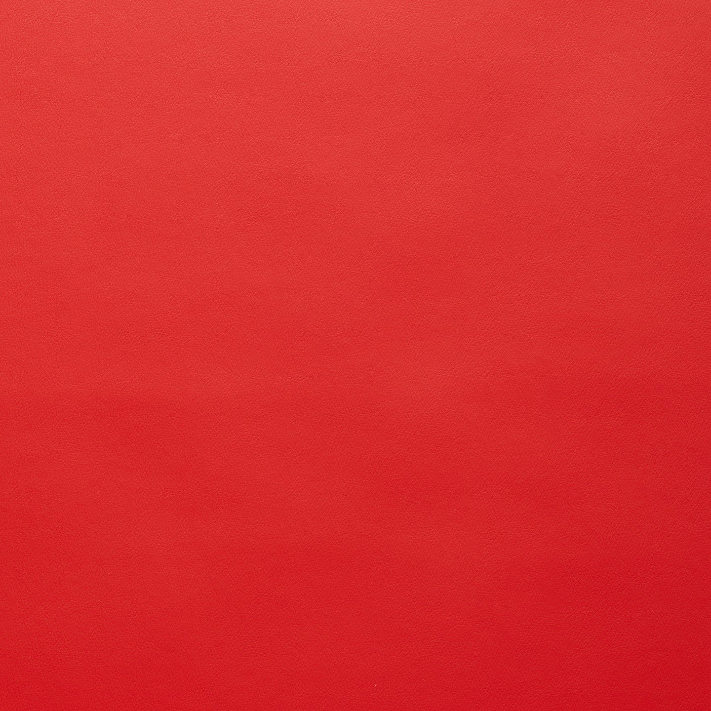 Square xlrg spirit us 360 american beauty.jpg