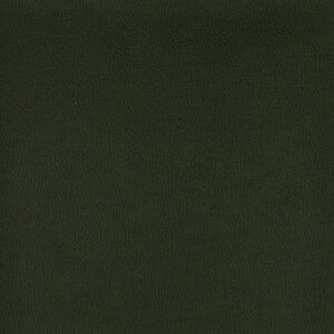Tolstoy Ii Wty-110 Garland upholstery fabric swatch