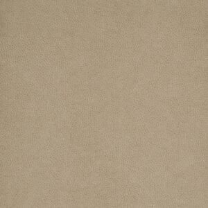 Tolstoy Ii Wty-112 Intrigue upholstery fabric swatch