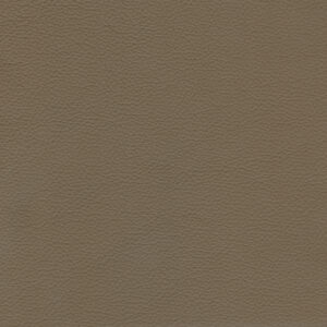 Meridian Rustic upholstery fabric swatch