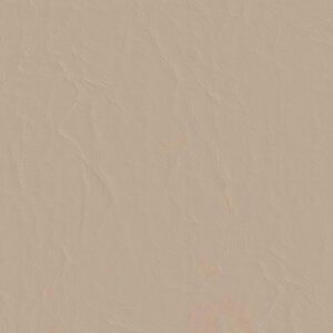 Capitano 513903 Sand Dollar upholstery fabric swatch