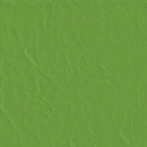 Capitano 517588 Parakeet upholstery fabric swatch