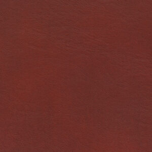 Rango Caliente upholstery fabric swatch