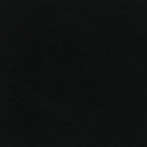 Rango Raven upholstery fabric swatch