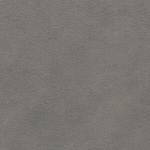 Sedona Fossil upholstery fabric swatch