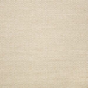 Action Linen 44285-0000 upholstery fabric swatch