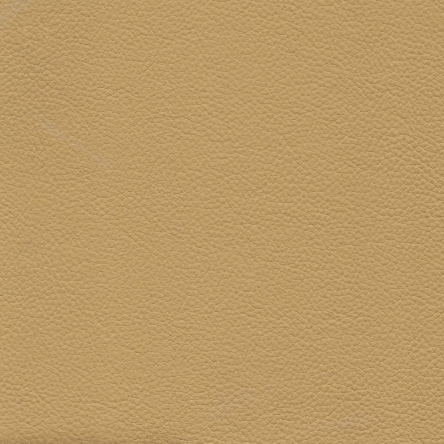 United Fabrics Bravo Honey