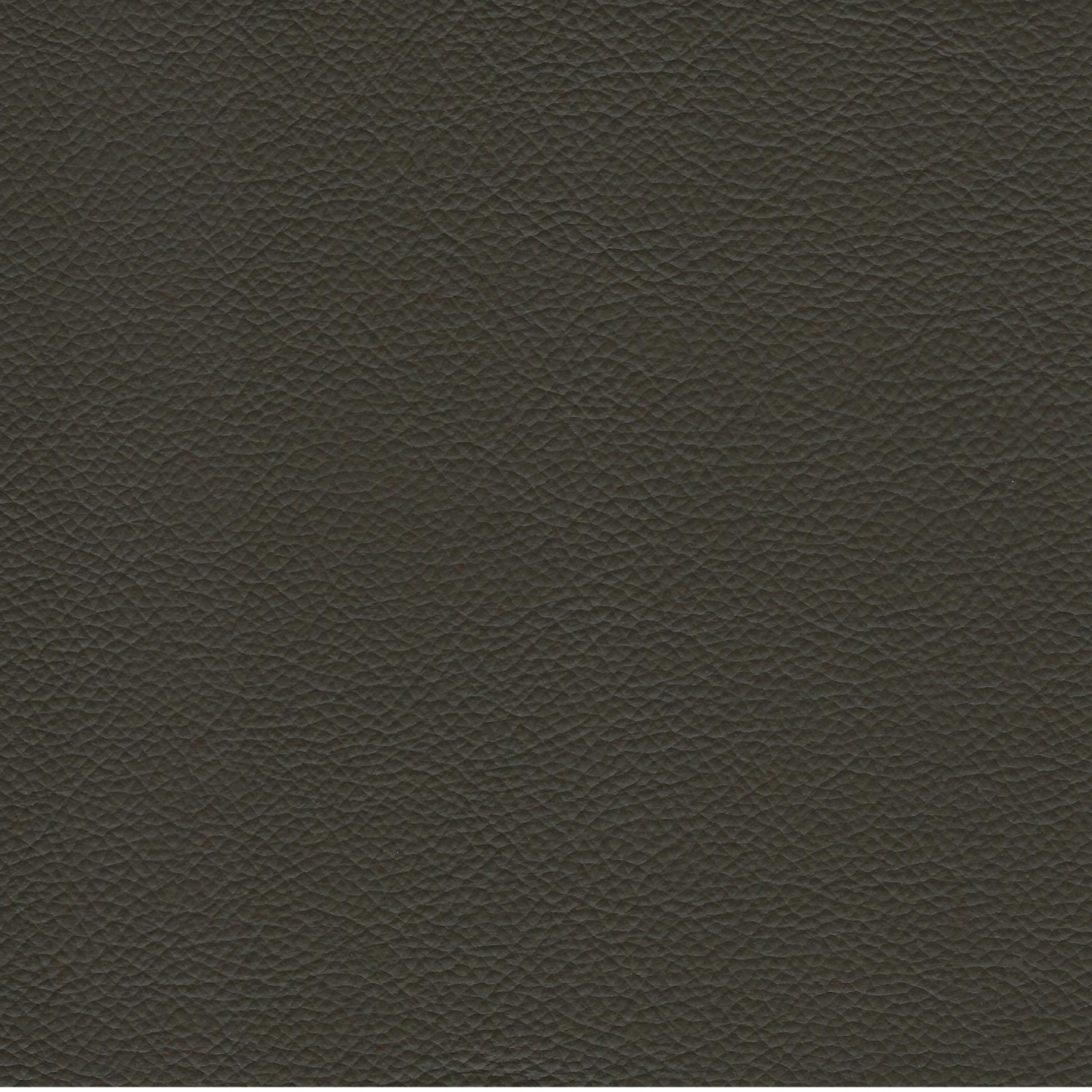 United Fabrics Bravo Pine