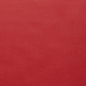 Alpha 20 Cardinal upholstery fabric swatch