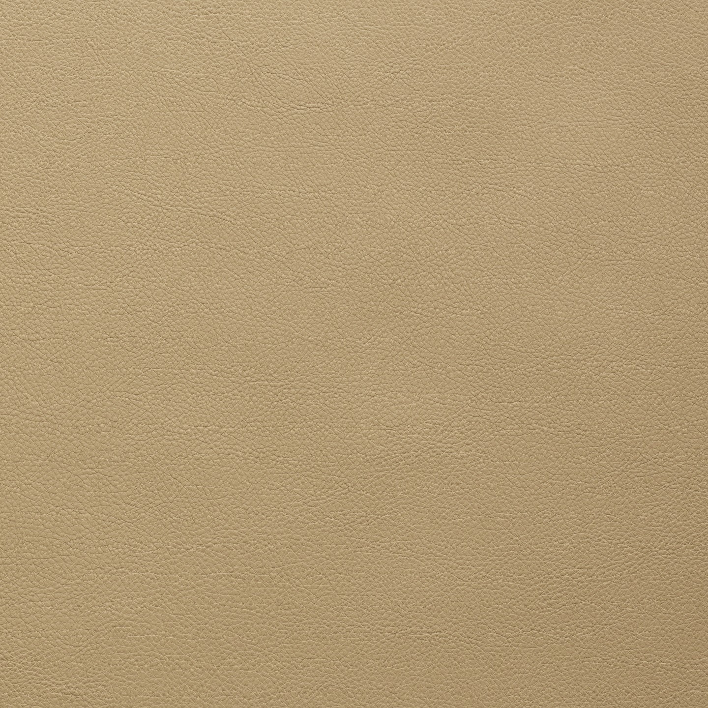 United Fabrics Classic SCL-009 Buff