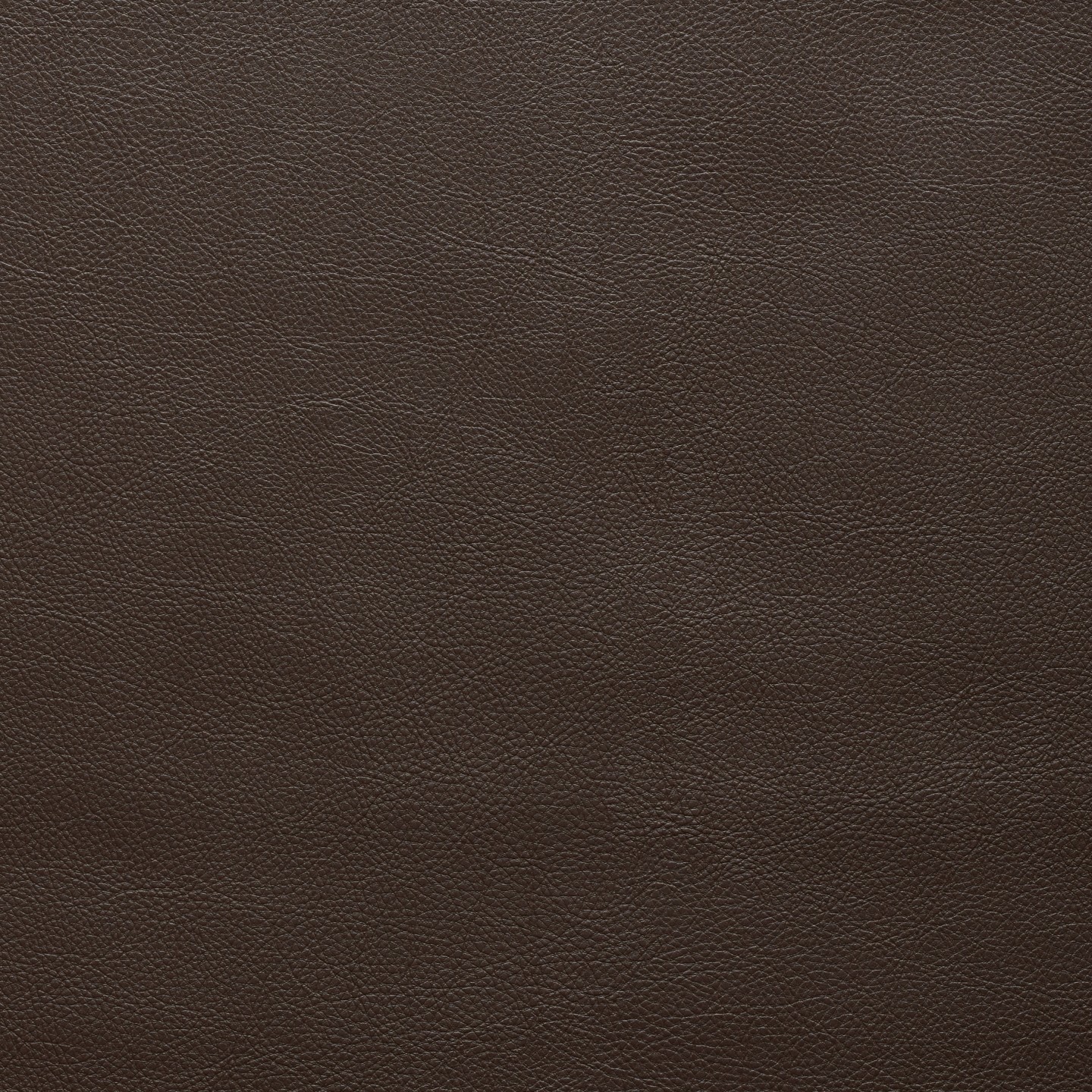 United Fabrics Alpha 80 Stallion