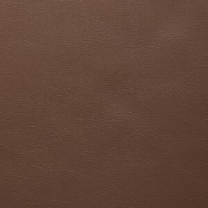 Alpha 22 Chipmunk upholstery fabric swatch
