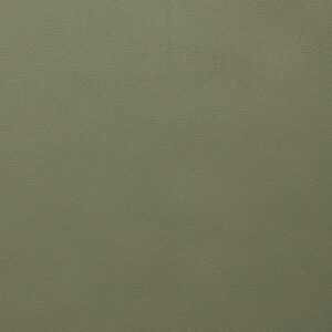 Alpha 35 Gecko upholstery fabric swatch