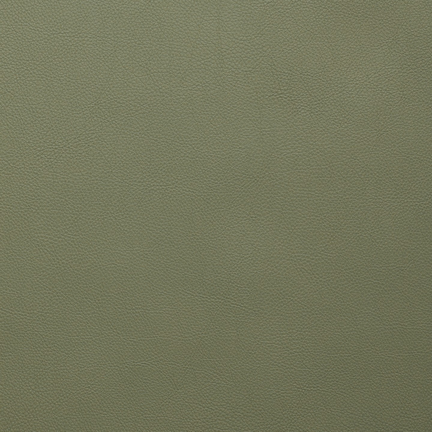 United Fabrics Alpha 35 Gecko