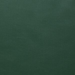 Classic Scl-202 Appalachian upholstery fabric swatch