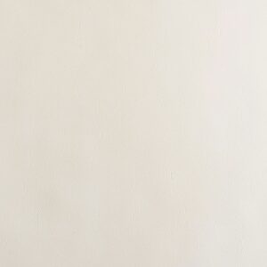 Club 14 Blank Canvas upholstery fabric swatch